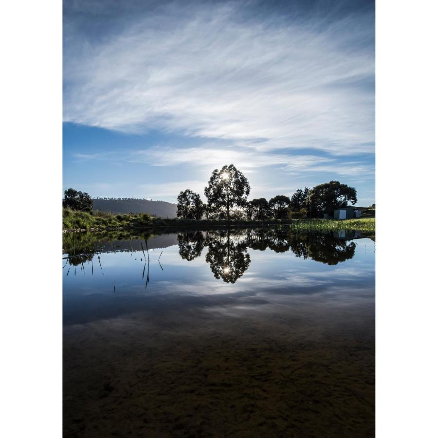 Affittacamere Charles Reuben Estate Hobart Esterno foto